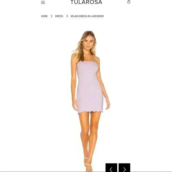 Tularosa Milan Dress (Sold Out) - Picture 1 of 4